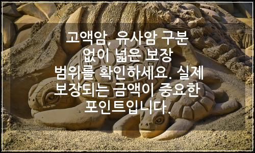 오늘의 이미지