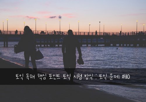 토익 독해 핵심 포인트 토익 시험 방식 : 토익 문제 #110