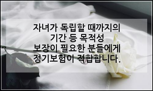 오늘의 이미지