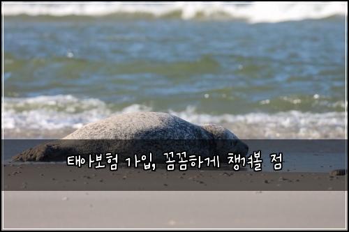 태아보험 가입, 꼼꼼하게 챙겨볼 점