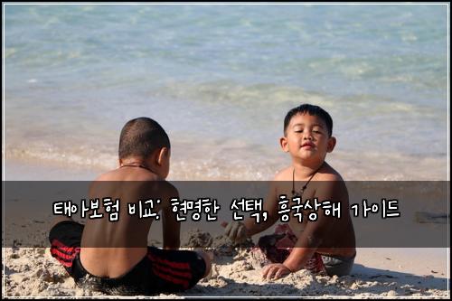 태아보험 비교: 현명한 선택, 흥국상해 가이드