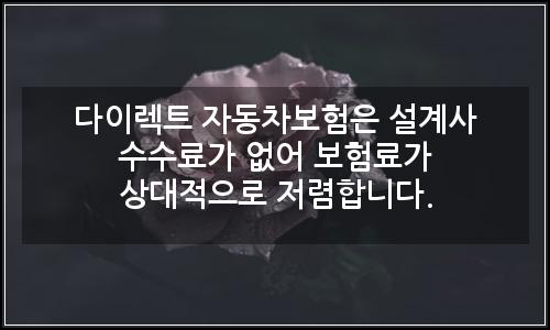 오늘의 이미지