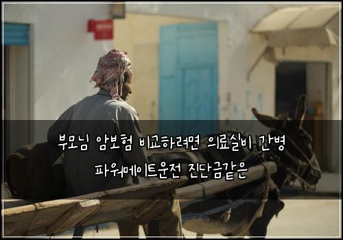 부모님 암보험 비교하려면  의료실비 간병 파워메이트운전 진단금같은