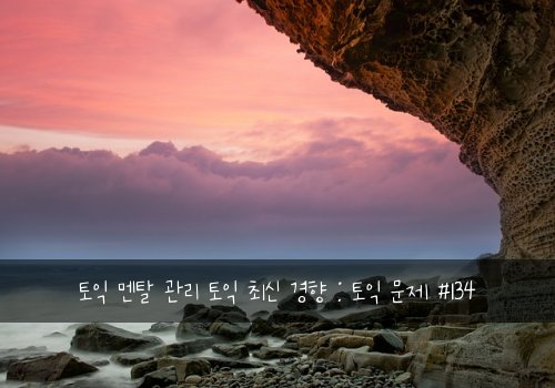 토익 멘탈 관리 토익 최신 경향 : 토익 문제 #134