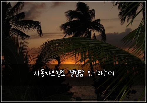 ์๋์ฐจ๋ณดํ๋ฃ ๊ฒฝํ๋ด ์ธ๊ธฐ๋ผ๋๋ฐ
