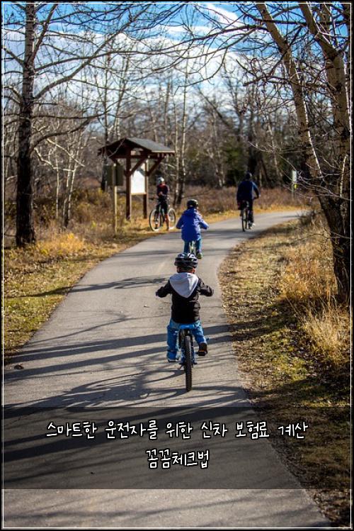  스마트한 운전자를 위한 신차 보험료 계산 꼼꼼체크법