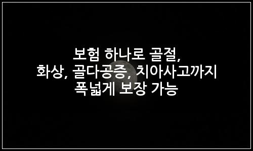 오늘의 이미지