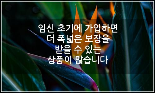 오늘의 이미지