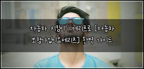 자동차 지킴이 : 메리츠로 [자동차 보험가입이요메리츠] 완벽 가이드