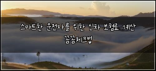  스마트한 운전자를 위한 신차 보험료 계산 꼼꼼체크법