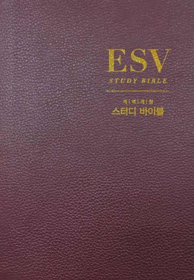 ESV 스터디 바이블 개역개정: 깊이 있는 성경 연구의 동반자_26