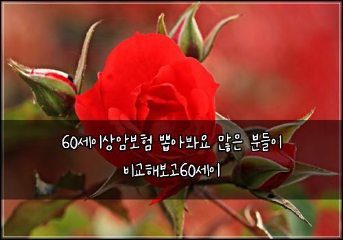60์ธ์ด์์๋ณดํ ๋ฝ์๋ด์ ๋ง์ ๋ถ๋ค์ด ๋น๊ตํด๋ณด๊ณ 60์ธ์ด