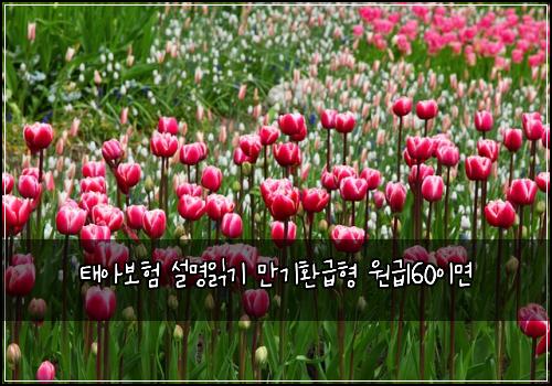 태아보험 설명읽기  만기환급형 원급160이면