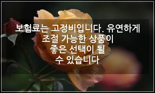 오늘의 이미지