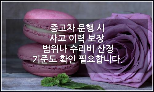 오늘의 이미지