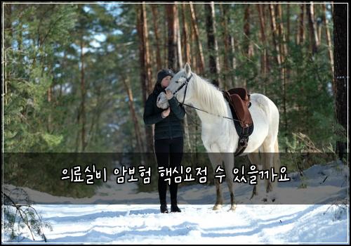 ์๋ฃ์ค๋น ์๋ณดํ ํต์ฌ์์ ์ ์์๊น์