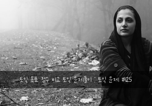 토익 목표 점수 비교 토익 문제풀이 : 토익 문제 #125