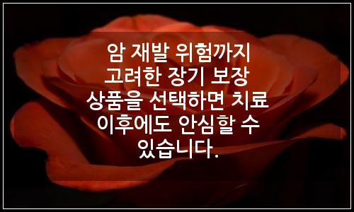 오늘의 이미지