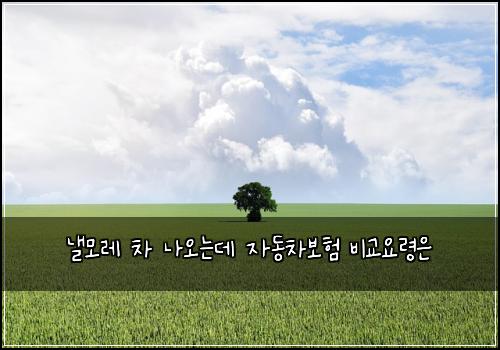 λΌλͺ¨λ μ°¨ λμ€λλ° μλ차보ν λΉκ΅μλ Ήμ
