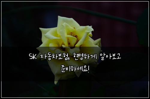 SK 자동차보험, 현명하게 알아보고 준비하세요!