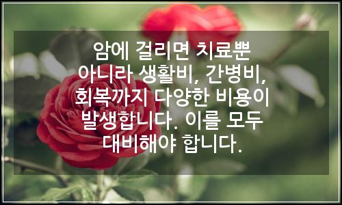 오늘의 이미지