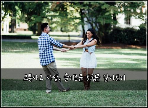  교통사고 사망, 슬기로운 보험금 알아보기