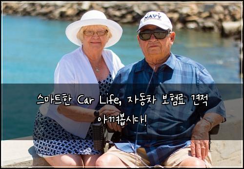  스마트한 Car Life, 자동차 보험료 견적 아껴봅시다!