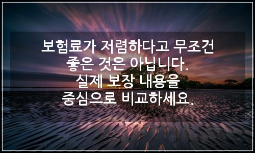 오늘의 이미지