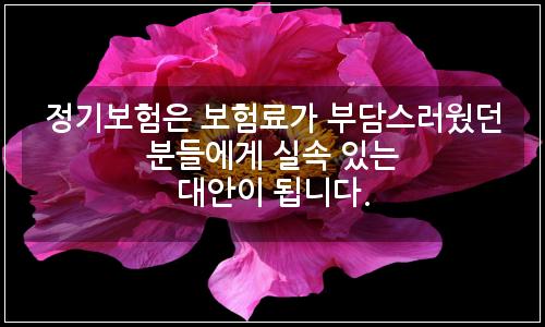 오늘의 이미지