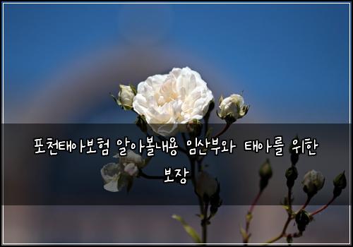 ํฌ์ฒํ์๋ณดํ ์์๋ณผ๋ด์ฉ ์์ฐ๋ถ์ ํ์๋ฅผ ์ํ ๋ณด์ฅ