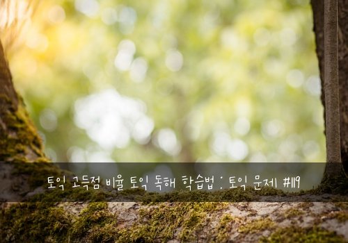 토익 고득점 비율 토익 독해 학습법 : 토익 문제 #119