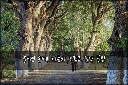  놓치면 손해! 자동차 보험료 절약 꿀팁