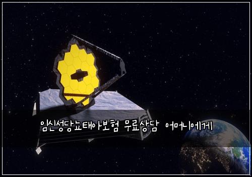 임신성당뇨태아보험 무료상담  어머니에게