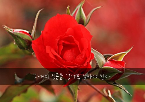 과거의 성공을 경계로 삼아야 한다