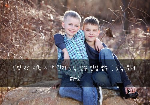 토익 RC 시험 시간 관리 토익 점수 인정 범위 : 토익 문제 #142