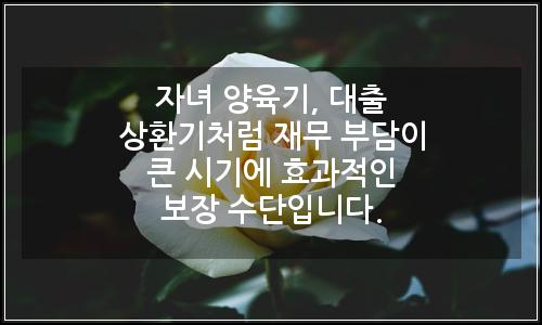 오늘의 이미지