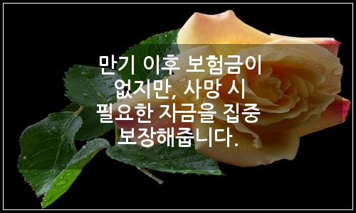 오늘의 이미지