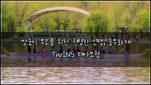 쌍둥이 부모를 위한 현명한 선택, 동부화재 TWINS 태아보험