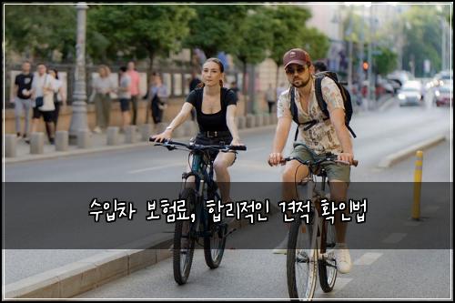 수입차 보험료, 합리적인 견적 확인법