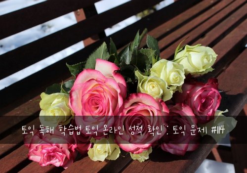 토익 독해 학습법 토익 온라인 성적 확인 : 토익 문제 #114