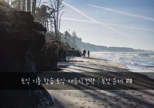 토익 기출 학습 토익 재응시 전략 : 토익 문제 #111