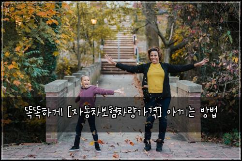 똑똑하게 [자동차보험차량가격] 아끼는 방법