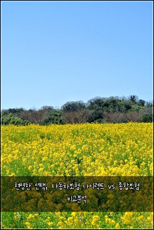  현명한 선택, 자동차보험 다이렉트 vs 종합보험 비교분석
