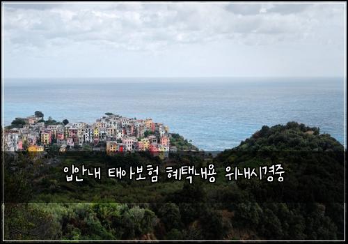 입안내 태아보험 혜택내용  위내시경중