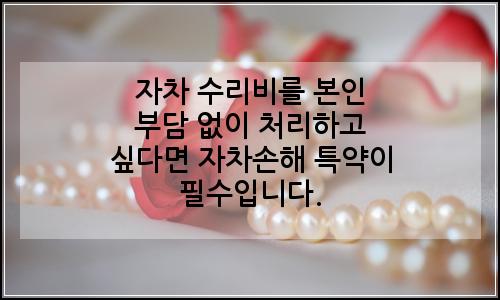 오늘의 이미지