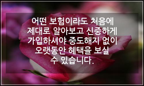 오늘의 이미지