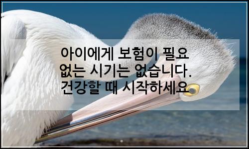 오늘의 이미지