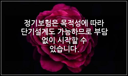 오늘의 이미지