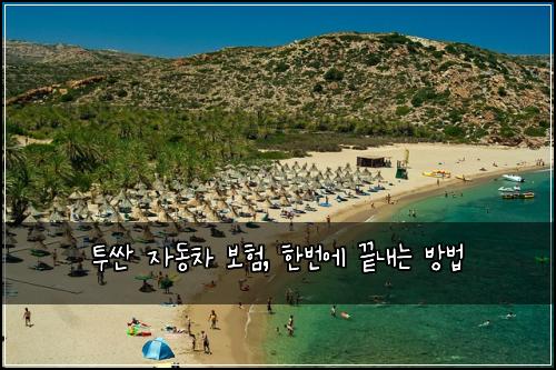 투싼 자동차 보험, 한번에 끝내는 방법