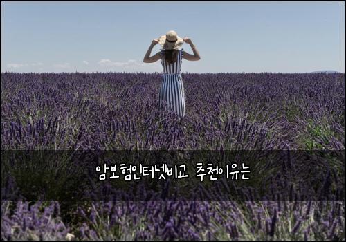 암보험인터넷비교 추천이유는